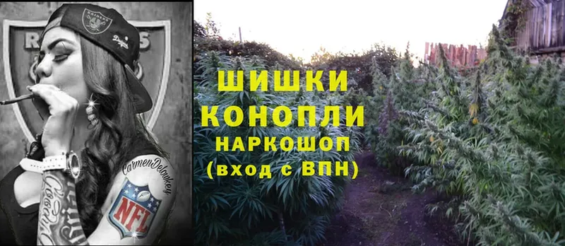 где купить наркоту  Камень-на-Оби  Бошки Шишки White Widow 